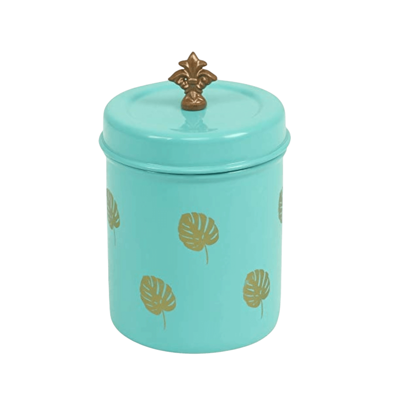 IRON  KITCHEN CONTAINER (COLOR)